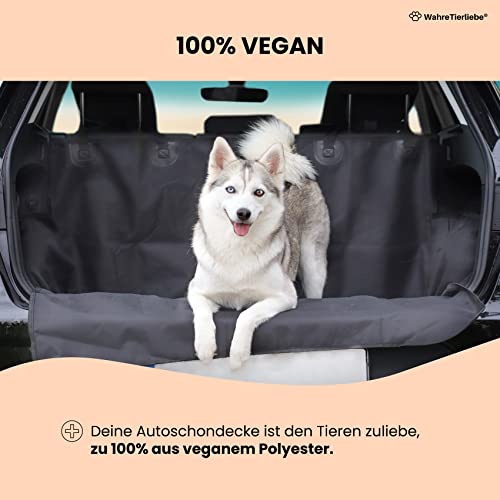 Hundedecke für das Auto – Kofferraumschutz für Hunde