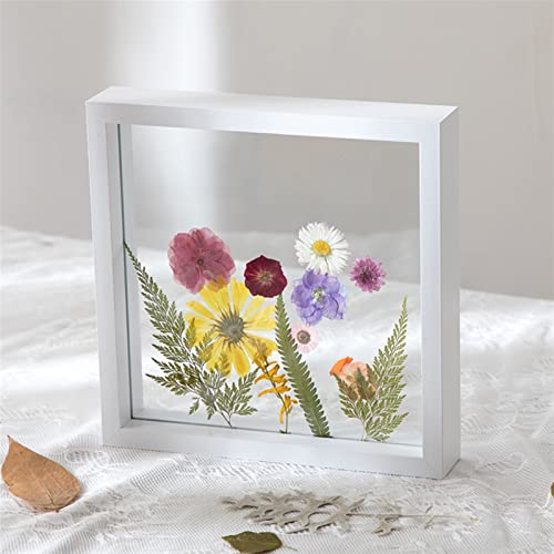 Lifup Marco de la Foto, 3D Soporte de Pantalla de Marco Flotante para Exhibición de Flores Prensadas, Hojas Secas 8.9 x 17.2 cm Cover