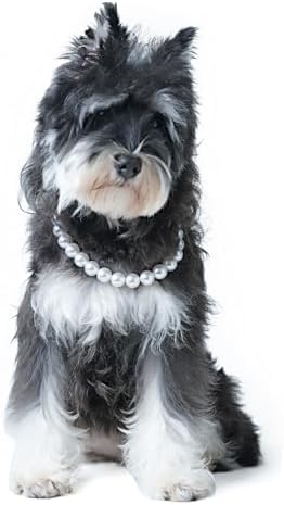 Pet Pearl Collar, Adjustable Dog Necklace,Chic Jewelry for Cat Puppy Chihuahua Girl Dogs Clothing Dress Accessories(White) (XL 16.9”)