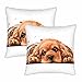 Cocker Spaniel zestaw 2 poszewek na poduszki ozdobne uroczy amerykański cocker szczeniak głowa kwadratowa poszewka na poduszkę 45 cm x 45 cm poszewka na poduszkę sypialnia dom biuro