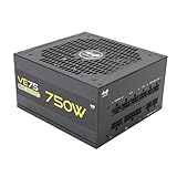 InWin VE75, 750 Watts Gaming PC Power Supply, ATX 3.0/PCI-E 5.0 True 450W 12VHPWR Connector, NVIDIA RTX 40 Series Ready, 80 Plus Gold, Zero Fan Mode, Fully Modular, 5 Year Warranty – Black -  IN WIN