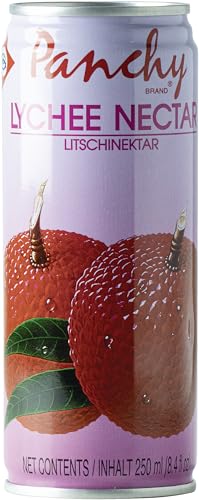 PANCHY Lycheenektar Fruchtsaftgehalt mind. 25 Prozent Einwegpfand DPG - 1 x 250 ml
