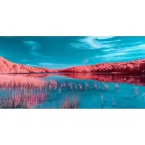 Peinture sur toile paysage bleu corail et rouge XINBAO 40x80 cm encadrée pour salon