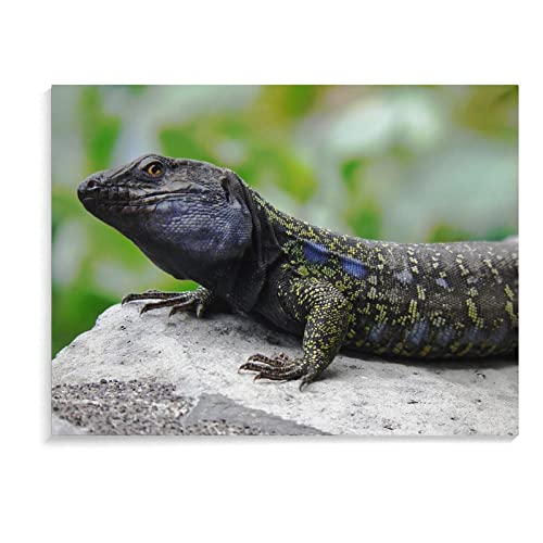 Art Posters Animal Black Lizard Wall Posters Wall Art Paintings Canvas Wall Decor Home Decor Living Room Decor Aesthetic Prints 24X32Inch(60X80Cm) Frame-Style #TOP7