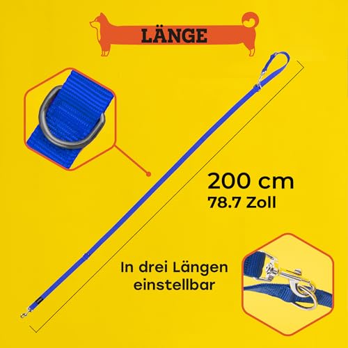 vitazoo Hundeleine in rot, fest und verstellbar in 4 Längen - geeignet für große und Starke Hunde - Hundeleine, Doppelleine - Gesamtlänge 2m