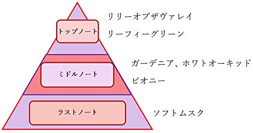 Amazon | とある科学の一方通行 エステル=ローゼンタール