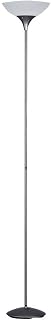 Reality Leuchten R4302-87 - Lámpara de pie de color titan con interruptor de pie incorporado, Necesaria 1 bombilla E27 de máximo 100W excluida, Color Blanco, 1 Unidad (Paquete de 1)