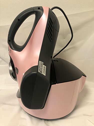 RAYCOP RT フェアリーピンク RT-300JPK