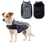 Spiked Small Dog Vest