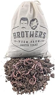 BROTHERS WORM FARM - 100 Live Compost Worms Ideal for Worm Bins, Gardens, & Composting. Includes Starter Worm Food Packet! Bred Sustainably.