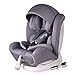 Bonio Siège Auto Évolutif ISOFIX, Groupe 1/2/3(9-36 kg), De 9 Mois à 12 Ans Environ, Housse confort avec Canopy(Gris)