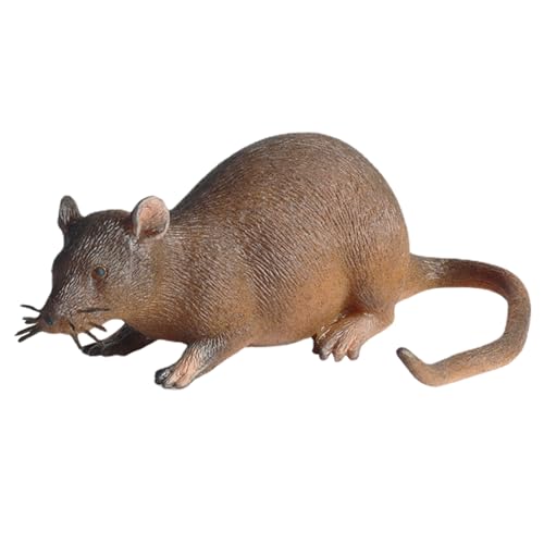 【Idea regalo perfetta】 Creepy Mouse for Prank è molto adatto come regalo di festa, regalo per la festa dei bambini, regalo di compleanno, ecc. Sarà anche un che i bambini adoreranno. giocattolo realistico di halloween scherzo falso del mouse