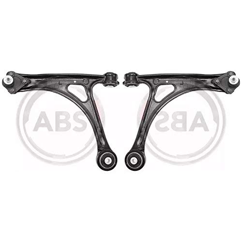 Kit Bracci oscillanti Destro + Sinistro