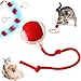 Hund und günstig Kaufen-DKIIL NOIYB Katzenball Elektrisch, Wiederaufladbares Interaktives Katzenspielzeug, Katzensprint Spielzeug Power Ball 2.0, Smart Cat Toy Ball Rollender Ball, Katzenbälle für Katzen Hunde (Rot)