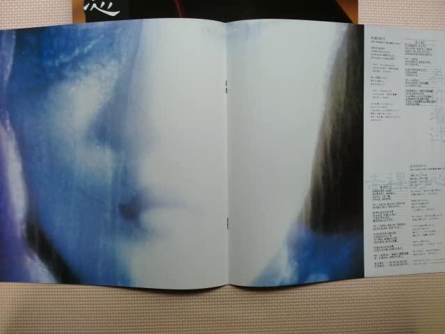 Amazon.co.jp: LP中森明菜不思議L-12595日本盤片面ピクチャーレコード