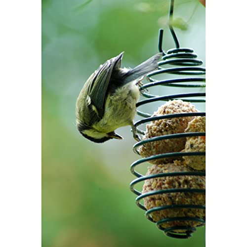 dobar® Meisenknödelhalter - Futterspirale für Meisenknödel - Vogelfutterspender aus Metall - Futtersäule für Wildvögel für Garten/Terrasse/Balkon - Ø 7,5 x 11 (26,5) cm - Grün