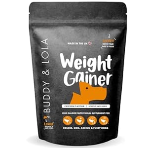 Buddy & Lola Dog Weight Gainer Supplement – Protein For Dogs, Helps Build Muscle, Aids Recovery, Great for Fussy Eaters, A Must Have For Rescue Dogs Who Need to Gain Weight and Build Muscle