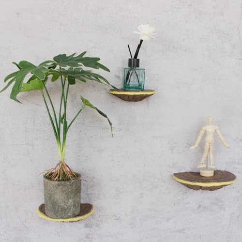 Étagères miniatures champignon étagère murale pour manque de place - 3