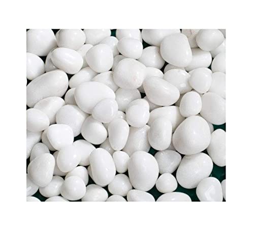 Image of White Pebbles Stones for Decoration and Plants Pots, Table Decor, Home Decor (2.9 Kgs, White Pebbles)