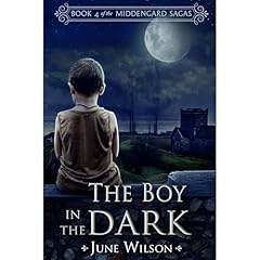 The Boy in the Dark Audiolibro Por June Wilson arte de portada