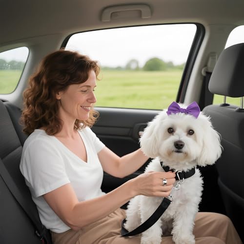 2 Stück Anschnallgurt Hund Auto, Verstellbarer Hundegurt Auto Rückbank, Nylonleine mit Haken, Autogurt Hunde, Sicherheitsleine für Alle Hunde und Katzen (Schwarz)