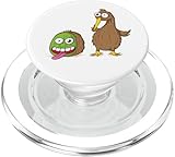 kiwi bird kiwi fruit ratite maori
