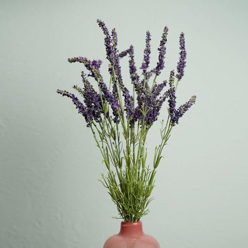 Image of PURE HOME + LIVING Purple Faux Lavender Spray (Made of Plastic, Wire and Fabric) for Home, Office and Living Room Decorations (Without Vase)(Height-56cm) Pack of 1