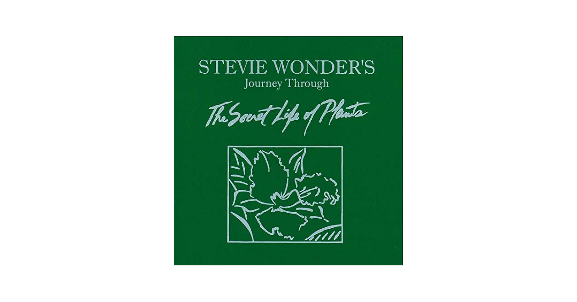 Stevie Wonder - Journey Through The Secret Life Of Plants[2
