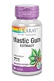 Solaray Mastic Gum Extract | Healthy Gastrointestinal and Digestive Function Support | 1000 Mg | 45 VegCaps, 22 Servings