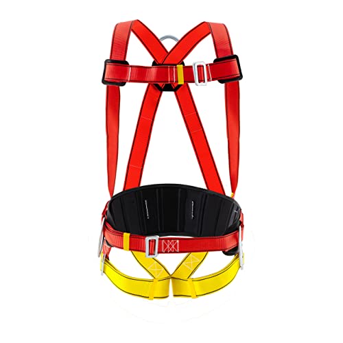Steinberg Systems SBS-FP-200 Auffanggurt 100 kg 2 D-Ring-Befestigungspunkte DIN EN 361:2002 und DIN EN 358:1999 Absturzsicherung Absturzsicherung-Gurt Absturzsicherungsgurt Absturzsicherung Höhe Cover
