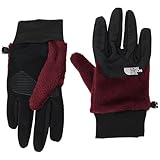 [THE NORTH FACE] ザノースフェイス 手袋 Denali Etip Glove アルパインプラム L
