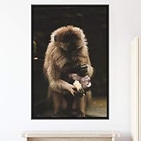 Framed Canvas Wall Art Monkey Animals Expressive Farmhouse/Country Living Room Monkey Multicolor Photography - 16x24 inches