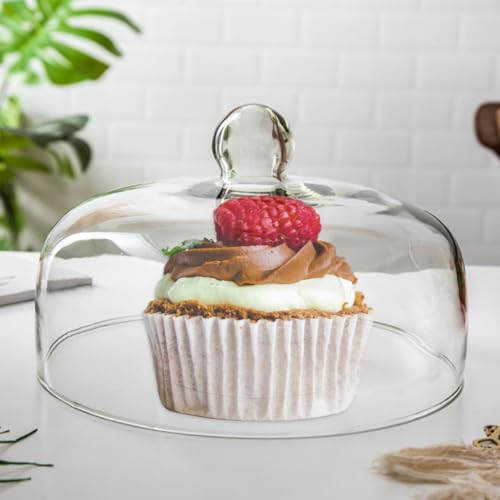 Kuchen Glasglocke Glas Käseglocke Kuchenglocke Tortenplatte Haube Glaskuppel Torten Glashaube Käseplatte Tortenglocke Lebensmittel Abdeckung Deckel für Patisserie Cover (13 x 13 x 11cm)