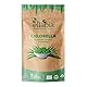 Bio Chlorella Tabletten 1kg | 2500 Presslinge a 400mg hochdosiert | Premium Rohkost-Qualität | 100% reine Algen Tabs ohne Zusätze | Zellwand gebrochen Vegan