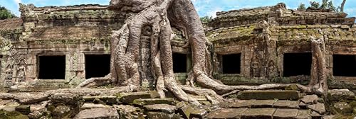 Reptile Habitat Background; Temple Ruins of Ta Prohm, for 48Lx18Wx18H Backside