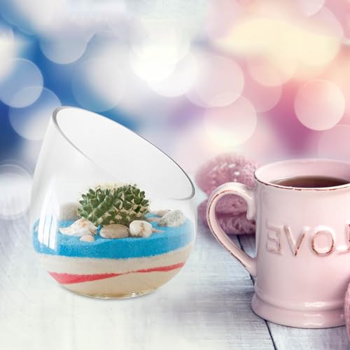 Vase hydroponique en verre transparent CANIGHT design pour fleurs - 5