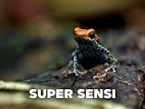  Super sensi