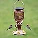 Perky-Pet 9105-2 Sugar Maple Top-Fill Glass Hummingbird Feeder Brown 24 oz Capacity