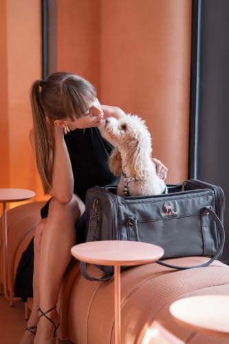 Noah & Paw Cat Carrier Soft Dog Carrier for Small Dogs, TSA Airline Approved 18x11x11in Cat Crate, Pet Travel Crate, Small Pet Kennel, Mattress Included, Charcoal Faux Leather — view 2
