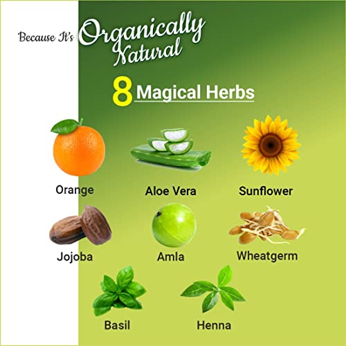 Indus-valley-Damage-free-Gel-hair-colour-Trial-Pack-Black