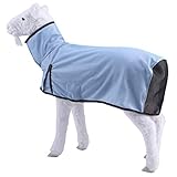 LEAFOREST Sheep Cover, Sheep Blankets for Show Lambs, Sheep Supplies Sheep Covers for Lambs (Blue, S