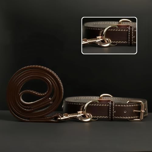 Personalisiertes Hundehalsband - Individuelles Hundehalsband aus Leder mit gravierbarem Namensschild. Robustes Namensschildhalsband, Bequeme ID-Halsbänder für kleine, mittelgroße und große Hunde