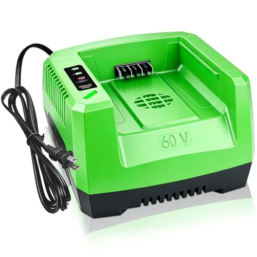 DTK Fast Charging Replacement for Greenworks 60V Chargers CH60R00 CH60DP01 2936902 60DPC10A Rapid Ultra Turbo Battery Charger