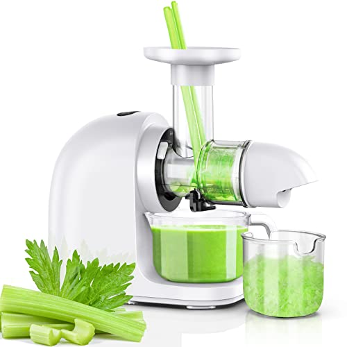 Best Masticating Juicers Canada Best Cost