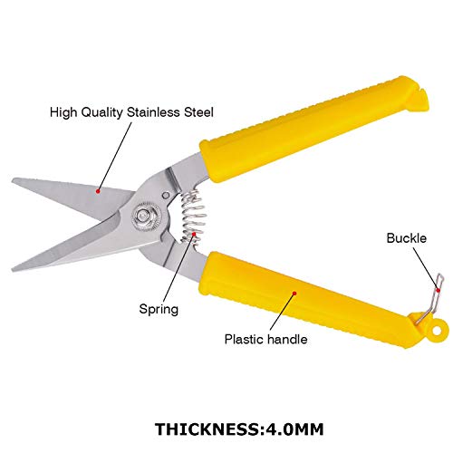 Image of Mario Scissors for Gardening /Purnning Work - 8.26 inch / 210 mm - Strong Cutting Scissors, Safe to Handel - Premium Stainless Steel Blade Scissors - MGS 700