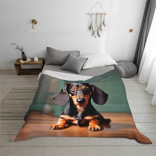 Couverture teckel idée cadeau originale pour anniversaire et fête - 6