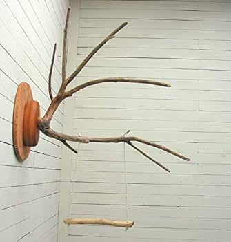 Amazon | 流木止まり木壁掛けハンガー pb73 オリジナル流木