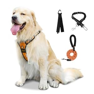 FURRYFECTION No-Pull Dog Harness Medium Dogs | French Bulldog Harness, Y-Shaped Reflective Oxford Vest with Padded Handle, Adjustable Straps & Front-Back Leash Clips, Training Collar and Lead Sets