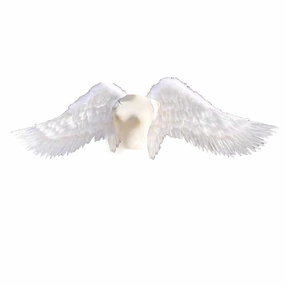 Amazon.co.jp: [Lomohanaga] 天使 羽 コスプレ道具翼 wing