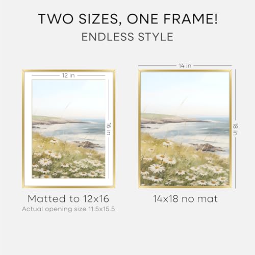 Image of Homeforia 14x18 Picture Frame Gold, High End Metal 14x18 Poster Frames with Mat 12x16 Photo, 14 x 18 Gold Frame Matted to 12 by 16 Print, 18by14 Thin Hanging Frames, Tempered Glass, Wall Kit, Set of 3